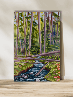 fallen trees over a creekbed