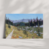 Switchback Fine Art Print